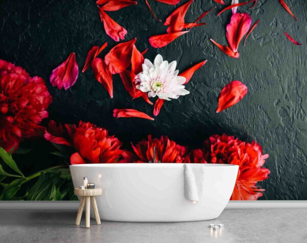 Grupo de flores vermelhas com pétalas sobre uma superfície preta Papel de parede Grupo de flores vermelhas com pétalas sobre uma superfície preta