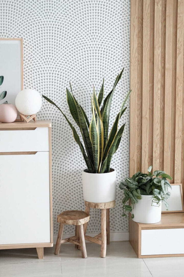 Fundo branco com pontos azuis Papel de parede Fundo branco com pontos azuis