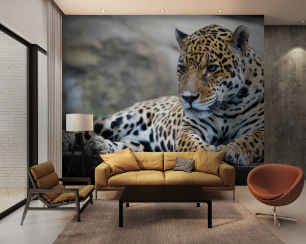 Papel de parede Leopardo deitado numa superfície de madeira