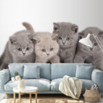 Papel de parede Gatinhos adoráveis prontos para brincar.
