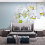 Papel de parede Orquídeas brancas sobre a água