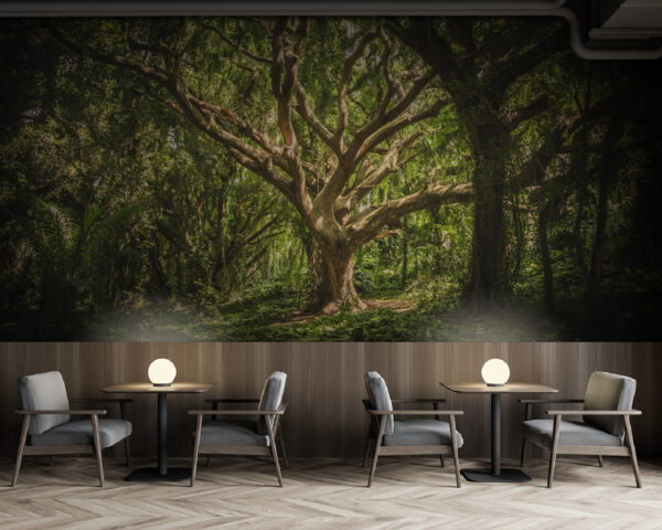 Árvore de grande porte numa floresta Papel de parede Árvore de grande porte numa floresta