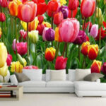 Papel de parede Grupo de tulipas coloridas