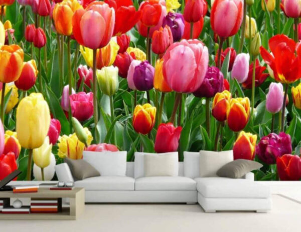 Grupo de tulipas coloridas Papel de parede Grupo de tulipas coloridas