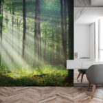 Papel de parede Raios de sol a atravessar a floresta.