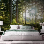 Papel de parede A luz do sol a atravessar a floresta