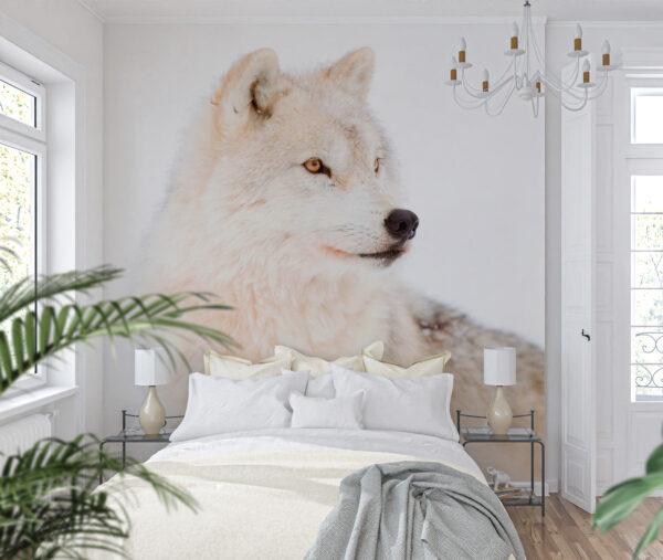 Lobo branco na neve Papel de parede Lobo branco na neve