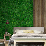 Papel de parede Tábua de madeira numa parede verde