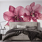 Papel de parede Flores delicadas com gotas refrescantes