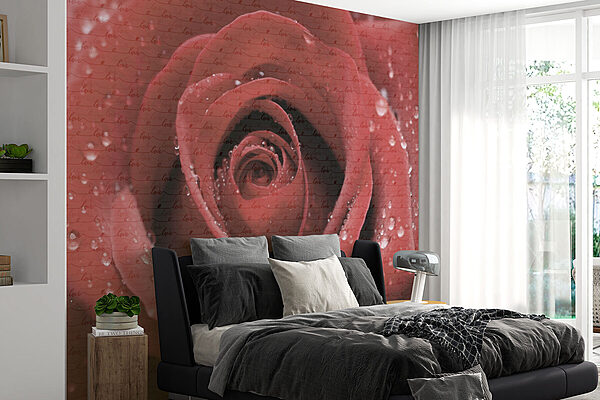 Linda rosa adornada com gotas Papel de parede Linda rosa adornada com gotas