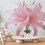 Papel de parede Pétalas delicadas, tons suaves de cor-de-rosa.
