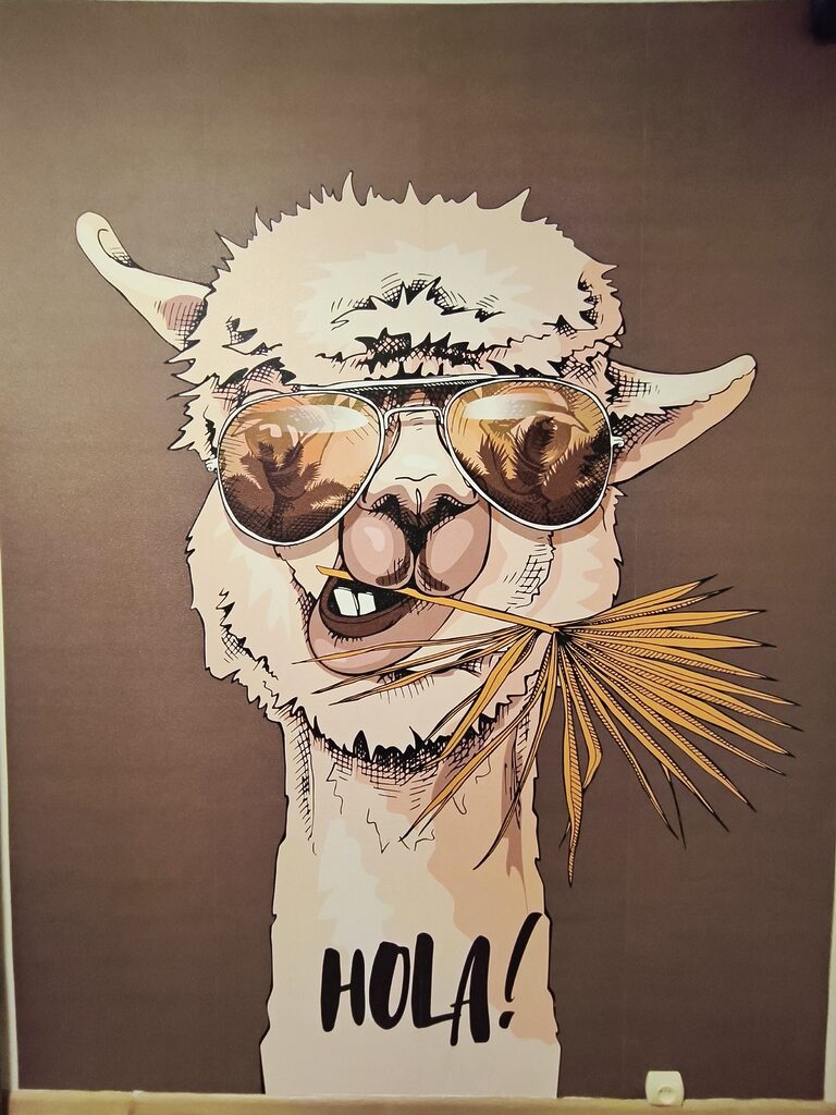 Papel de parede Lhama fixe a dizer olá com estilo!